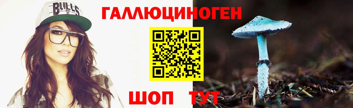 Калач-на-Дону  Псилоцибиновые грибы Psilocybine cubensis  дарнет шоп  Вход с VPN 